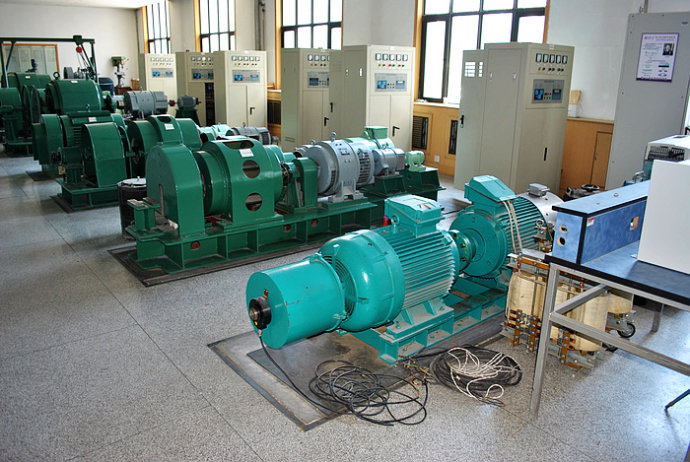 新丰某热电厂使用我厂的YKK高压电机提供动力